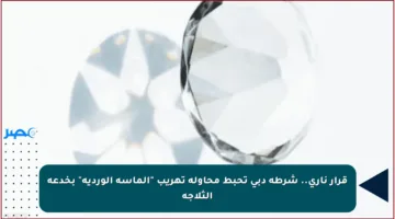 قرار ناري.. شرطة دبي تحبط محاولة تهريب “الماسة الوردية” بخدعة الثلاجة